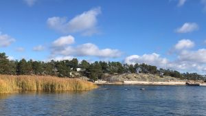 Strandbild med vass och båtbrygga. På avstånd syns en av Airiston Helmis fastigheter.