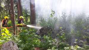 Brandmän släcker eldsvåda i skogen
