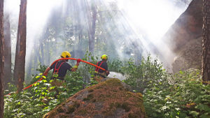 Brandmän släcker eldsvåda i skogen