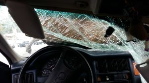 Arkivbild. Bild inifrån en bil som kört på en älg. Älgen ligger ännu på motorhuven, medan hela högra sidan av vindrutan har tryckts in och krossats.