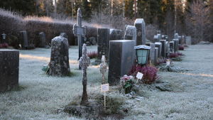 Äldre och nyare gravar på Åsändans begravningsplats Informationsskyltar placerad på gravar där gravrätten upphört. På Åsändans begravningsplats i Lappfjärd.