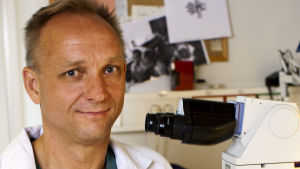 Mats Brännström är en av de kunnigaste i Norden på just livmodertransplantationer. Mats Brännström