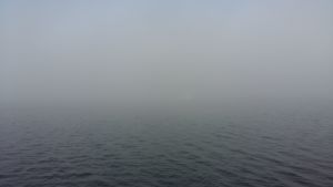 Det är inte lätt att navigera i kompakt dimma. Båt i tjock dimma vid Rungoströmmen i Kimito.