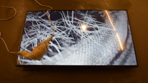 Camilla Edström Ödemark: Skin Circuits (2018) Camilla Edström Ödemark: Skin Circuits (2018)
