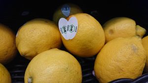 I ekologiska frukter får inga kemiska bekämpningsmedel förekomma. Ekocitroner.