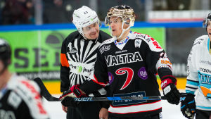 Favorin samtalar med Jarkko Immonen säsongen 2017. Timo Favorin i samspråk med Jarkko Immonen.