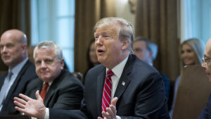Trump ska ha fått veta vad Mueller-rapporten innehöll långt före kongressen eller offentligheten. New York Times skriver att rapportens publicering fördröjdes för att ge Trumps stab mer tid. Trump sade under ett regeringssammanträde i Vita huset att han inte är nöjd, men att statsapparaten inte stängs igen