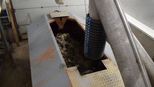 En container med skräp i året, men 8 lastbilar med slam i månaden körs bort från reningsverket. En sopcontainer som samlar in skräpet från avloppsreningen.