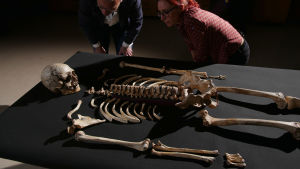 Britannian vanhin, kokonainen ihmisfossiili saa kasvot. 