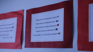 En tavla med texten Välkommen till Stenbackens skola på många olika språk, bl.a. bosniska, svenska och vietnamesiska. En papperslapp med texten välkommen till Stenbackens skola på många olika språk är upphängd på en vit vägg.