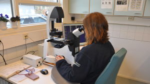 Här analyseras partiklar som plankton eller hårstrån av djur. En kvinna sitter och tittar i ett stort mikroskop.
