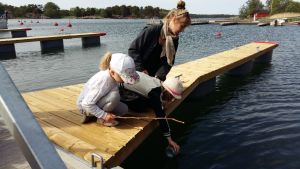 Nellie Walldén, Meya Walldén och Fanny Nyström böjer sig ner från en brygga och tar ett vattenprov i en glasburk.