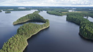 Kopterikamerakuvaa elokuisesta Petkeljärven kansallispuistosta Kopterikuvaa Pelketjärven kansallispuiston maisemasta, vesistöä ja puiden peittämiä saaria.