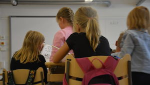 Elever i årskurs två har tillbringat höstterminen hittills i det som egentligen är skolans sal för teknisk slöjd. Ryggen på en handfull elever vid sina pulpeter i ett klassrum.