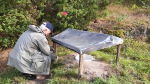 Fjärilarna lockas på natten till fällan med en lampa under det lilla taket. En man med grå jacka och blå skärmmössa sitter på huk vid en ställning med plasttak. I mitten under plasttaket finns ett ämbar, där nattfjärilar samlas in och observeras.
