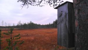 Tämä pönttö jää odottamaan ensi kevään uiveloita Uivelon pönttö Pyhätunturilla