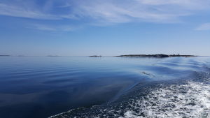 Skärgården har lockat många turister under coronan, också sent på hösten. Svallvågor av en båt på havet i stiltje.