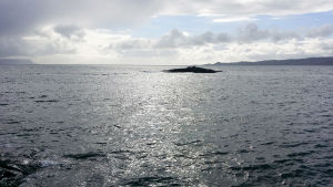 Havsvy vid Skottlands västkust. Havet breder ut sig vid Skottlands västkust.