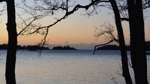 Tvärminne zoologiska station ligger vackert inbäddat i ett skärgårdslandskap. Skärgårdslandskap med morgonrodnad.