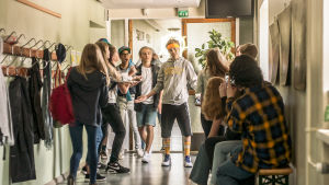 Killen Justus blir känd över en natt då hans idé om “waffling” (som går ut på att filma då man bränner huden med ett våffeljärn och publicera videon på nätet) blir viral på YouTube. Scen ur den finlandssvenska komediserien Virala genier