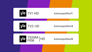 Planssi missä näkyy HD-kanavien kanavapaikat. Yle TV1 kanavapaikka 21, Yle TV2 kanavapaikka 22, Yle Teema/Fem kanavapaikka 25.