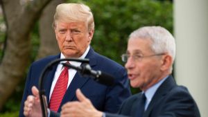 President Trump lyssnar på Chefen för USA:s institut för infektionssjukdomar och regeringens coronaexpert Anthony Fauci (i förgrunden) under presskonferensen i rosenträdgården. President Trump lyssnar på Chefen för USA:s institut för infektionssjukdomar, och regeringens coronaexpert Anthony Fauci (i förgrunden) under presskonferensen i rosenträdgården.
