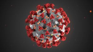 WHO:s generalsekreterare Tedros Adhanom Ghebreyesus säger att det nya coronaviruset är betydligt mer dödligt än vad man har antagit. bild på coronavirus