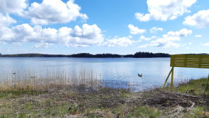 Här byggs en brygga och en badplats på Marsudden. Platsen finns alldeles intill de första tomterna som planeras vid vattnet. Vy över stället där det planeras badplats och brygga på Pickala-Marsudden.