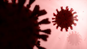 Coronaviruset har i medeltal en diameter på 125 nanometer (0,125 mikrometer). Illustration på coronavirus.