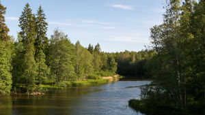 I höst torde du kunna gå längs en ny led på södra sidan om Svartån mellan Billnäs och Karis. En vy övr Svartån i Karis där det ska bygga en frilufstled längs Svartån. Den börjar i Billnös och slutar i Strandparken i Karis.