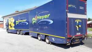 En del av blomsterhandeln Amalias blommor kommer i långtradare från Holland. Blomstertransport från Holland anländer till Oravais.