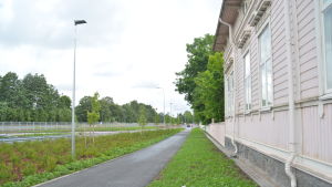 Korsmansgatan har breddats, flyttats och man har separerat den lätta trafiken från den tunga med breda remsor av planteringar. Gata med grönområden