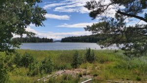 Strömmar för all möjligt in i Nikuviken under årens lopp. Utsikt över en vik i sommarväder.