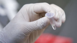 Alla som vill ska kunna få vaccinera sig. En hand med plasthandske håller i ett provrör.