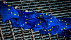 EU ska diskutera sanktioner mot Ryssland. EU:n liput liehuvat Euroopan unionin päärakennusten ulkopuolella.