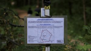 En av stadens skyltar med rekommendationen. Skyltarna finns strategiskt utplacerade längs motionsslingorna. En skylt över månsas skogsområde.