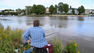 Yvonne Eriksson gick inte många steg för att välja metplats. En kvinna som metar.