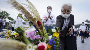 Människor lade blommor i Fredsparken i Hiroshima för att hedra de 210 000 dödsoffren i Hiroshima och Nagasaki. En äldre kvinna lägger blomma för att hedra de 210 000 dödsoffren i Hiroshima och Nagasaki.