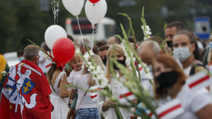 Människor ställde sig i en kedja från Vilnius till Belarus den 23 augusti för att stöda oppositionen i Belarus. Bilden tagen i byn Medininkai som ligger cirka 26 kilometer från Vilnius och kring 2 kilometer från den vitryska gränsen. Människor ställde sig i en kedja från Vilnius till Belarus den 23 augusti för att stöda oppositionen i Belarus. Bilden tagen i byn Medininkai som ligger cirka 26 kilometer från Vilnius.