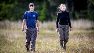 Christer Jägerskiöld och Anni Rönnberg på en av de betade strandängarna, också sjöfåglar hjälper till och betar vassen utifrån. Christer Jägerskiöld och Anni Rönnberg går på en naturbetesäng.