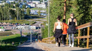 I snitt blir det 8 000 uppstigningar i trappan per vecka. Motionärer i farten på konditionstrappan.