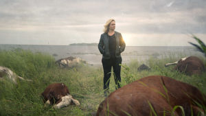 Maria Sidin esittämä KRP:n rikostutkija seisoo nurmella, jolla makaa kuolleita lehmiä.