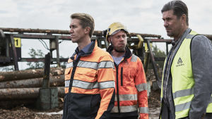 Finlands gröna guld. Pasi med huvudförtoendemannen (Ilkka Forss) och den lokala chefen (Tommi Korpela) blickar ut över fanérfabrikens förutsättningar. pasi med fabrikschefen och huvudförtroendemannen tittar ut över fabriksområdet.
