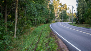 På basis av hjulspåren verkar det som om bilisten har tappat kontrollen över bilen i kurvan strax innan olycksplatsen. Bilspår längs vägrenen