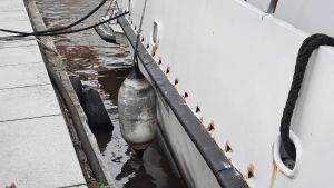 Robin Behm vill kunna sätta båten i fint skick till nästa år. Vit motoryacht angjord vid brygga.