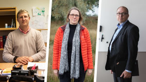 Sunds kommundirektör Andreas Johansson, Ådas vd Katarina Donning och Pekka Rehn, överdirektör vid Myndigheten för digitalisering och befolkningsdata. Collagefoto av Sunds kommundirektör Andreas Johansson, Katarina Donning och Pekka Rehn.