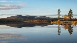 Järvimaisema Urho Kekkosen kansallispuistossa