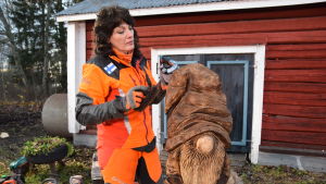 Ulla viimeistelee tonttuaan. Taiteilija Ulla Haglund polttaa puuveistos-tonttuaan puhalluslampulla.