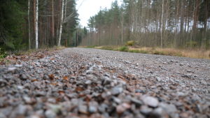 Gruset samlas i högar längs vägkanten i synnerhet i kurvorna. Hopomvägen ur grodperspektiv