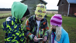 Roni och hans syskon Reko och Rosmariini samlas alltid hemma efter skoldagen. Reko och Rosmariini har betydligt kortare skolväg eftersom de kan gå i sin egen närskola, Pettersbacka skola. Tre barn står utomhus tätt tillsammans och tittar på en mobilskärm.